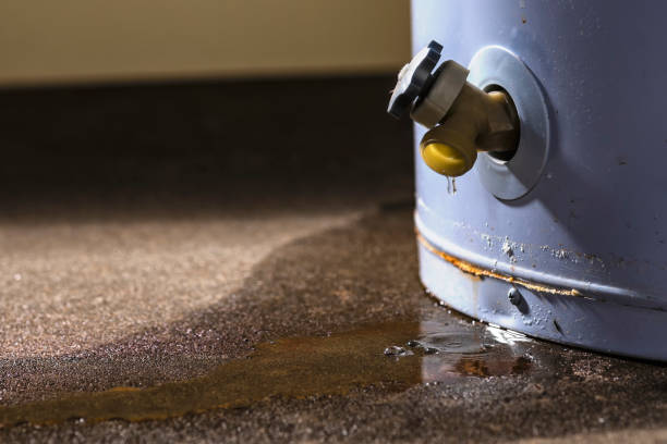 Best Flood restoration services  in Dahlgren, VA
