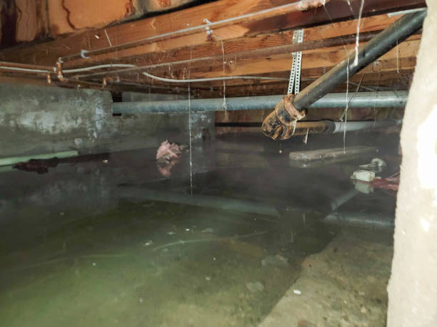 Water damage restoration process in VA