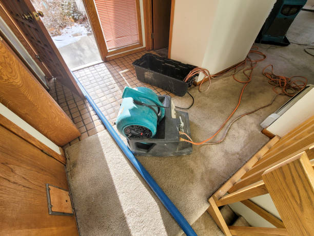 Best Water damage restoration near me  in Dahlgren, VA