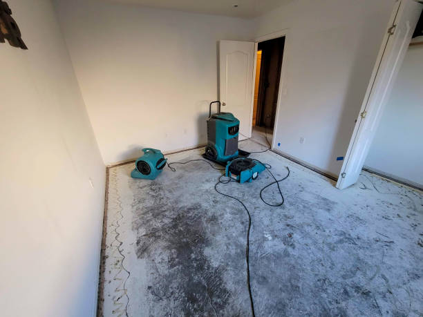 Best Carpet water damage restoration  in Dahlgren, VA