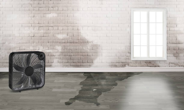 Best Fire Damage Restoration  in Dahlgren, VA
