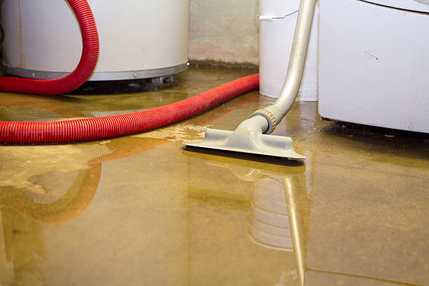 Best 24/7 water damage repair  in Dahlgren, VA