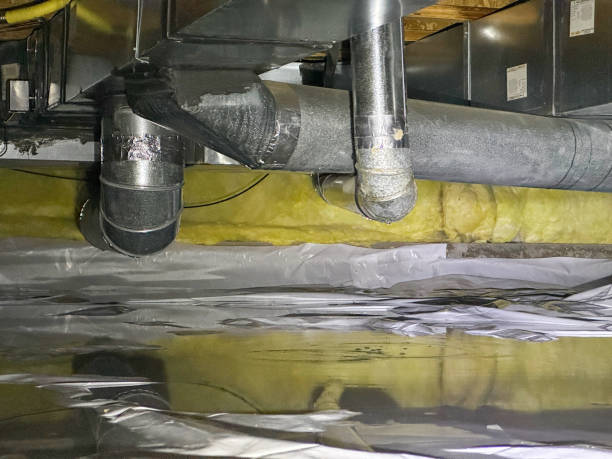 Best Sewage cleanup and water damage restoration  in Dahlgren, VA