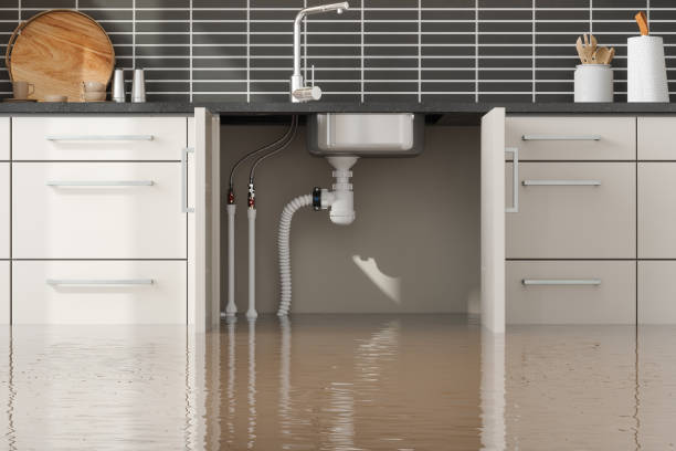 Best Local water damage restoration  in Dahlgren, VA